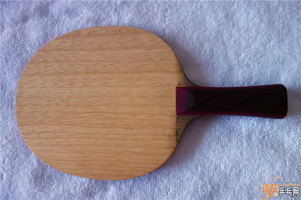 ��һֻ�����������