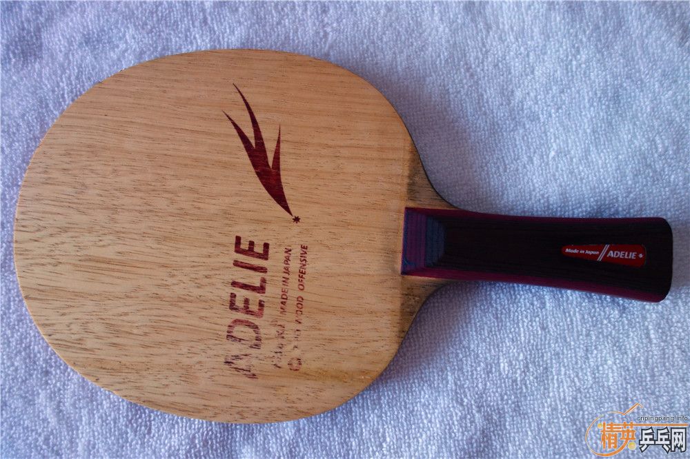 ��һֻ�����������