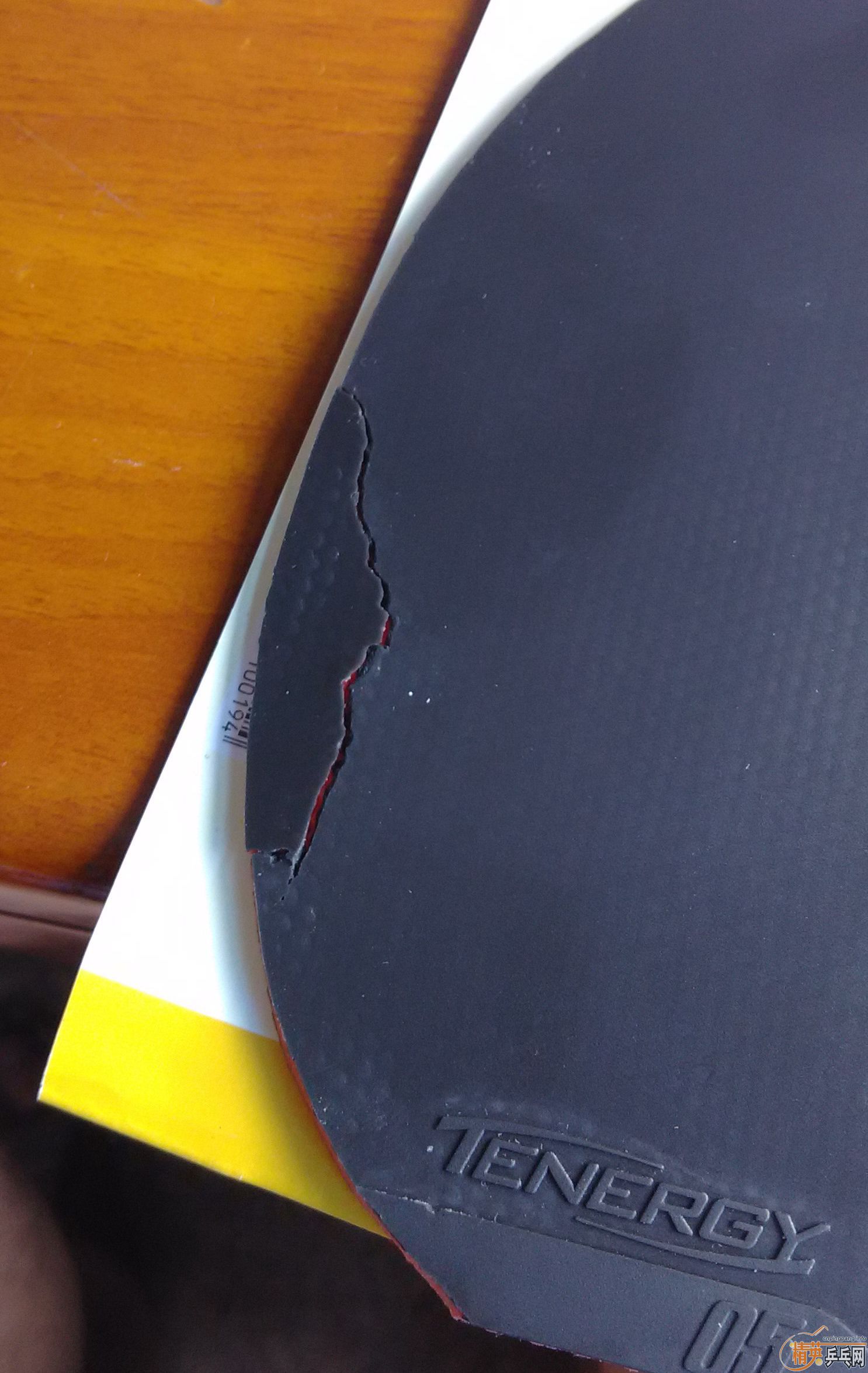 �����˺�ɫ05