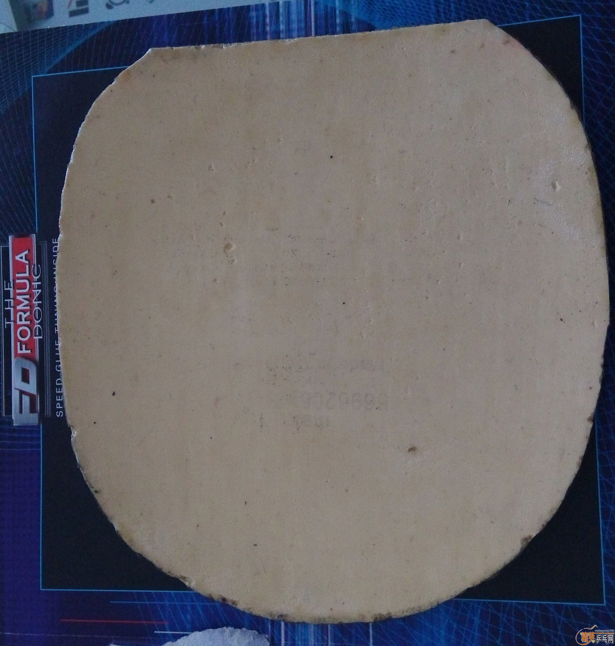 �������F1����ɫ