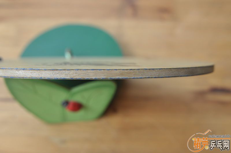 �ͼۺ���-----���µ���ӥ���ƺ�823������5�У������ṹ��,��ľ̼�ذ壬stiga OC