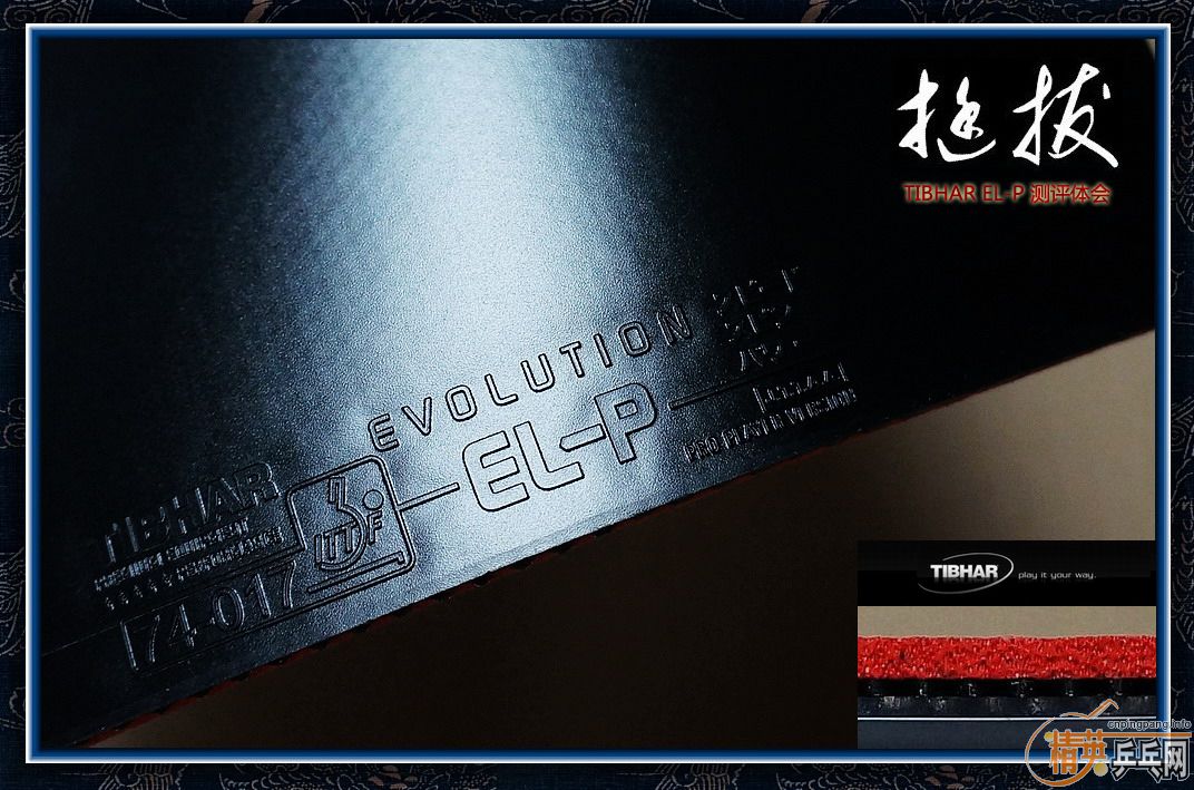 <<<ԭ TIBHAR Evolution EL-P ἰ