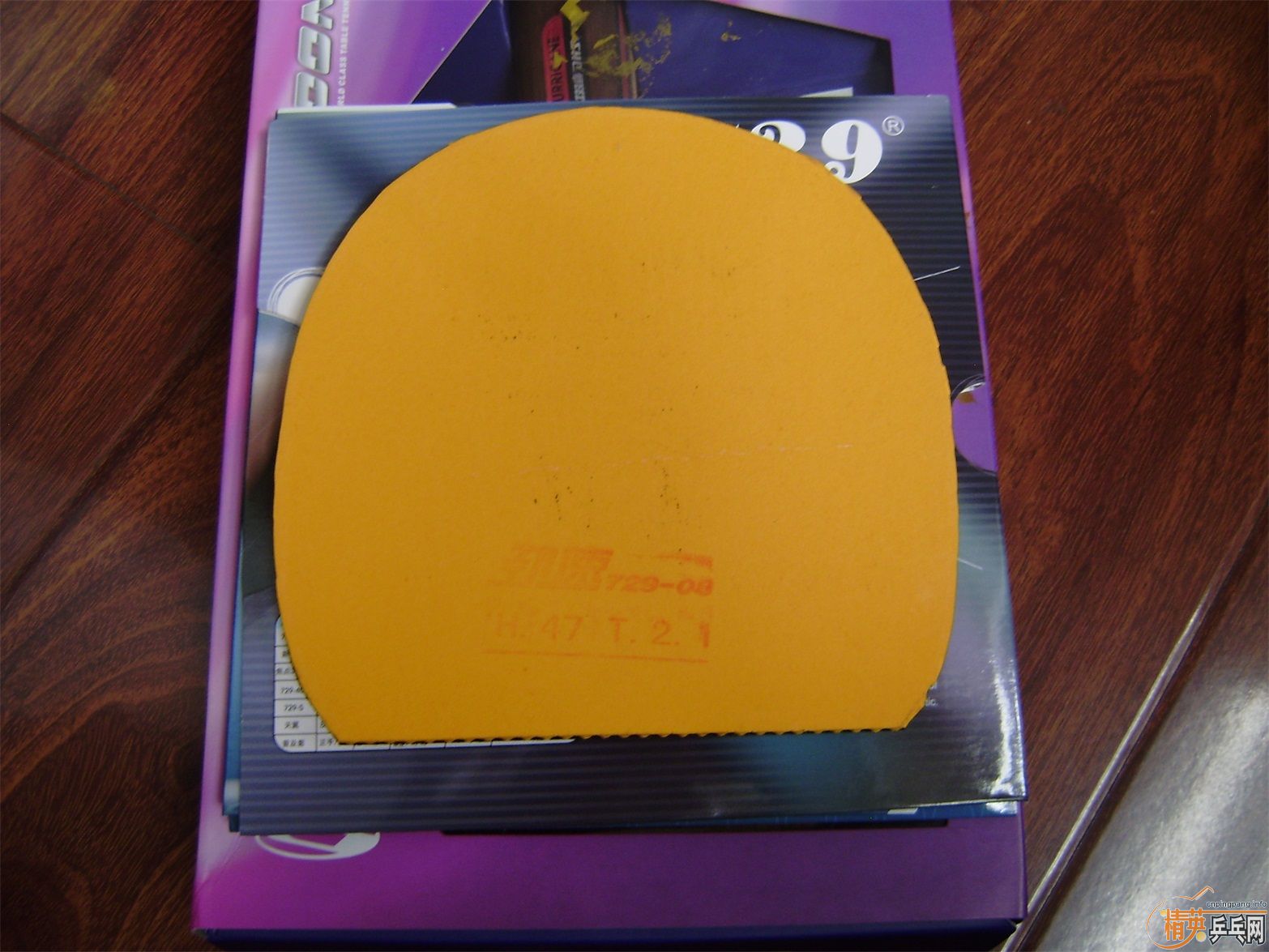 Ϻ˫ϲ쭵װno1  źµĽƤ