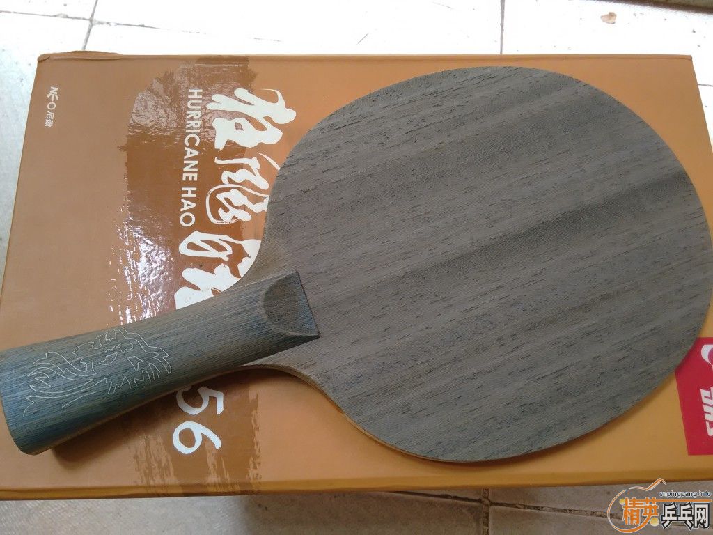 8Sr6SzOW.jpg