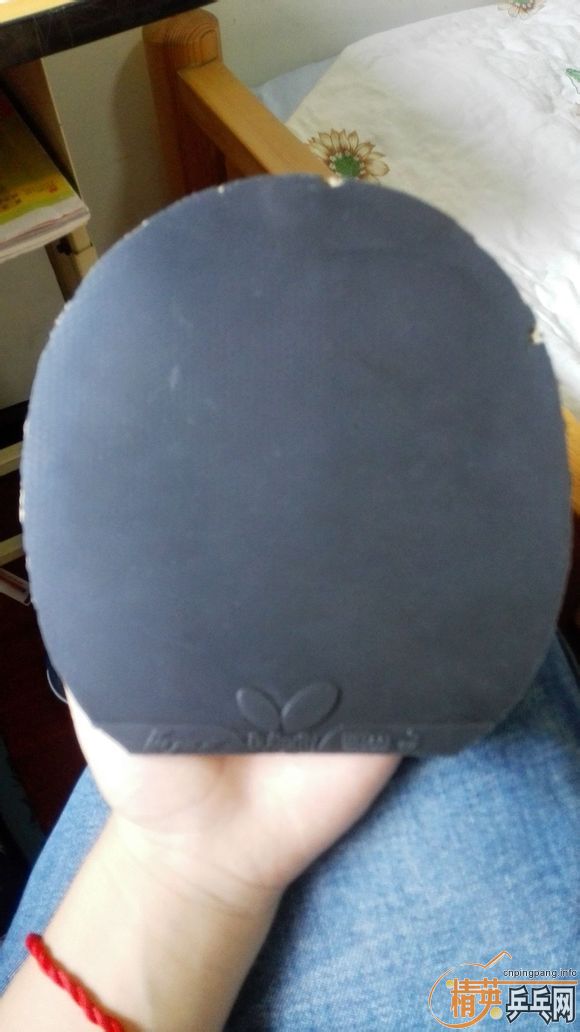 ����Ʒ����CL��ֻ����ʮ����.һ������ǣ�һ�����ִ��