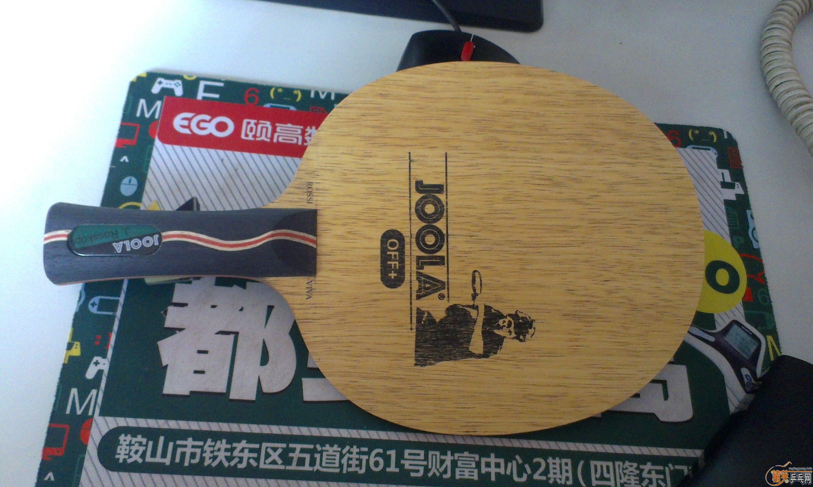 ������VIVA����********