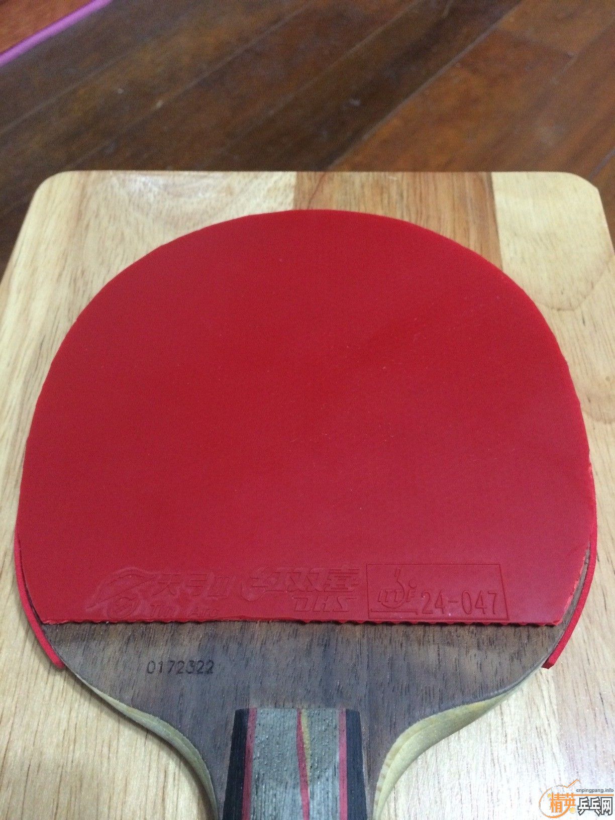 8�����칭��55�������