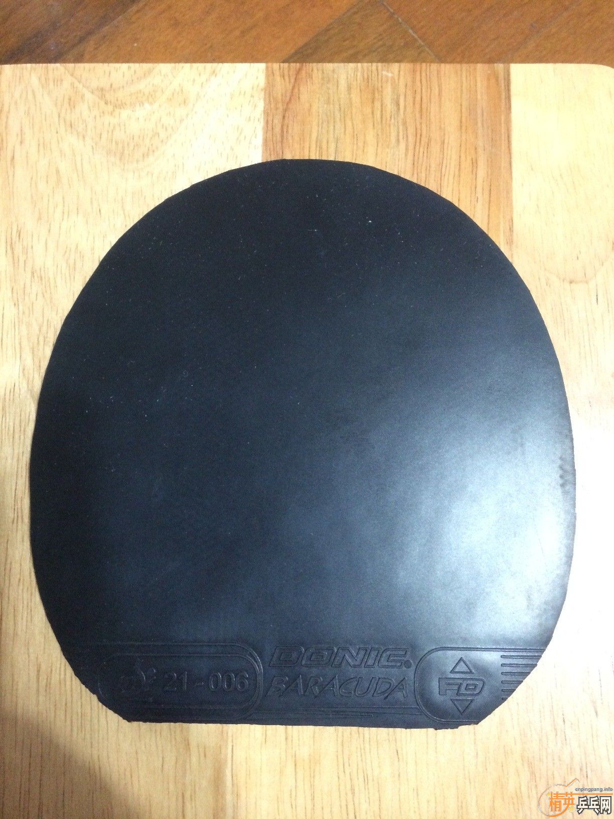 8���°Ϳ⡢�������baracuda��80����