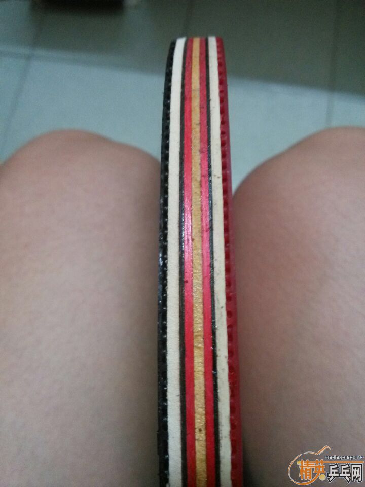 ��˳�������musa