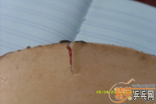 ����ɫ���� �۸�22