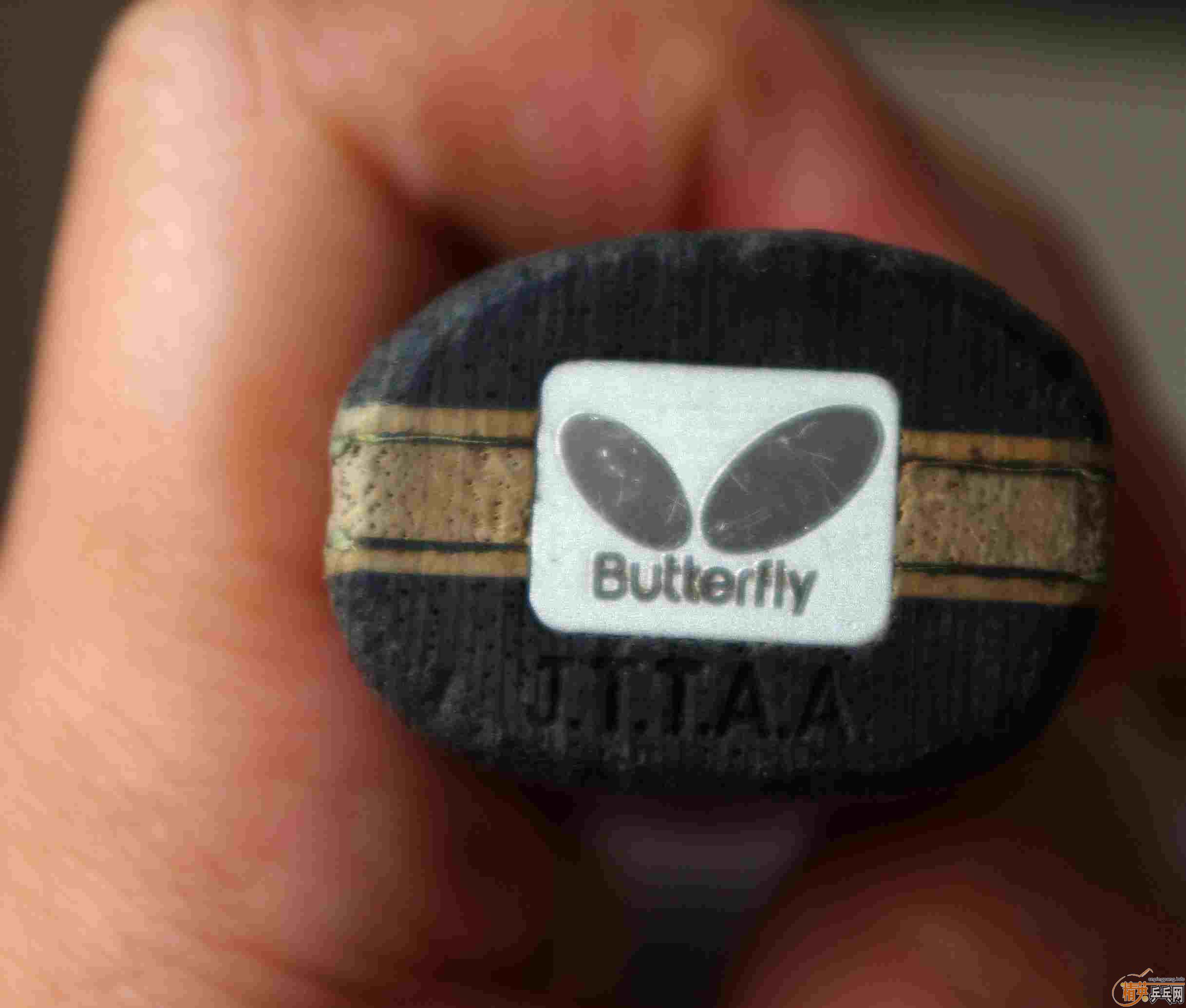 ������ķ����Amultart