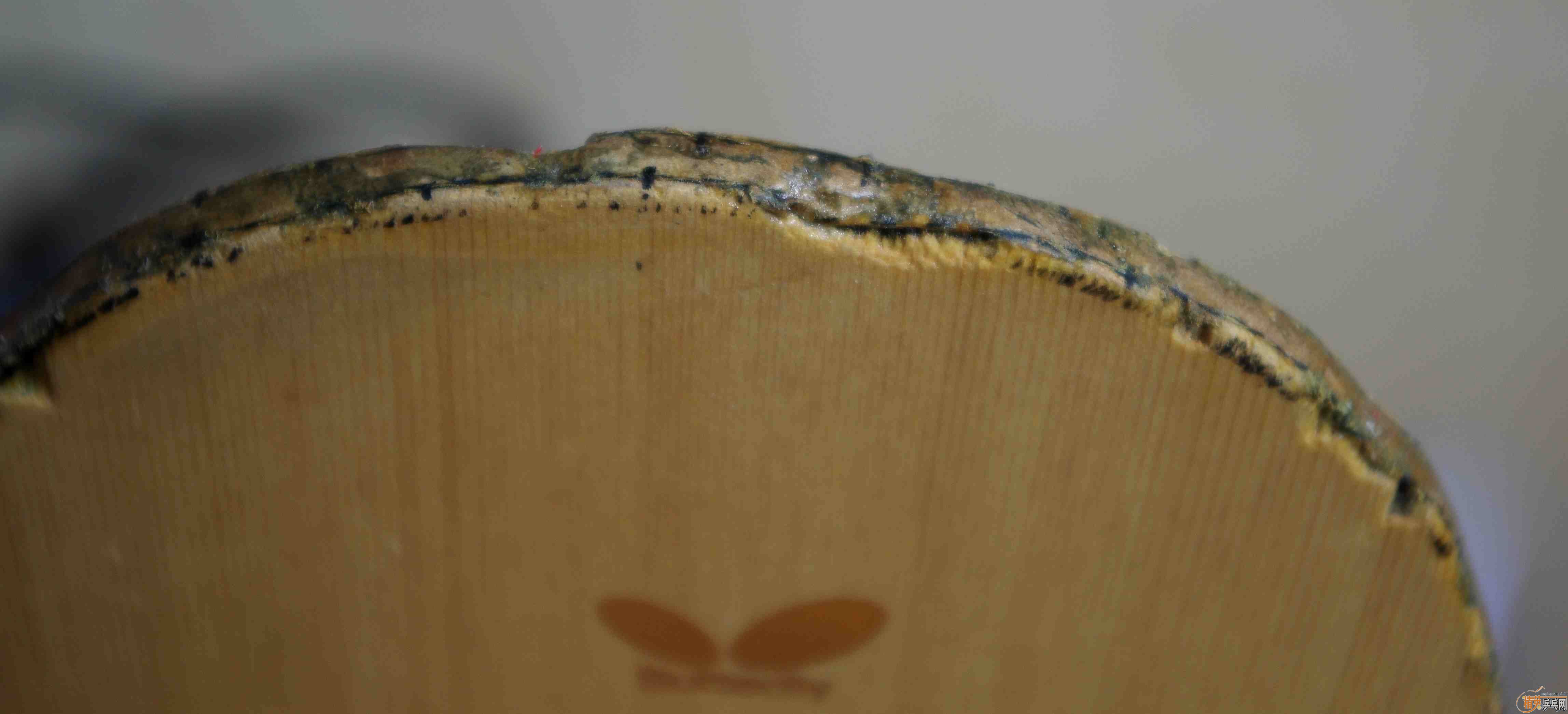 ������ķ����Amultart