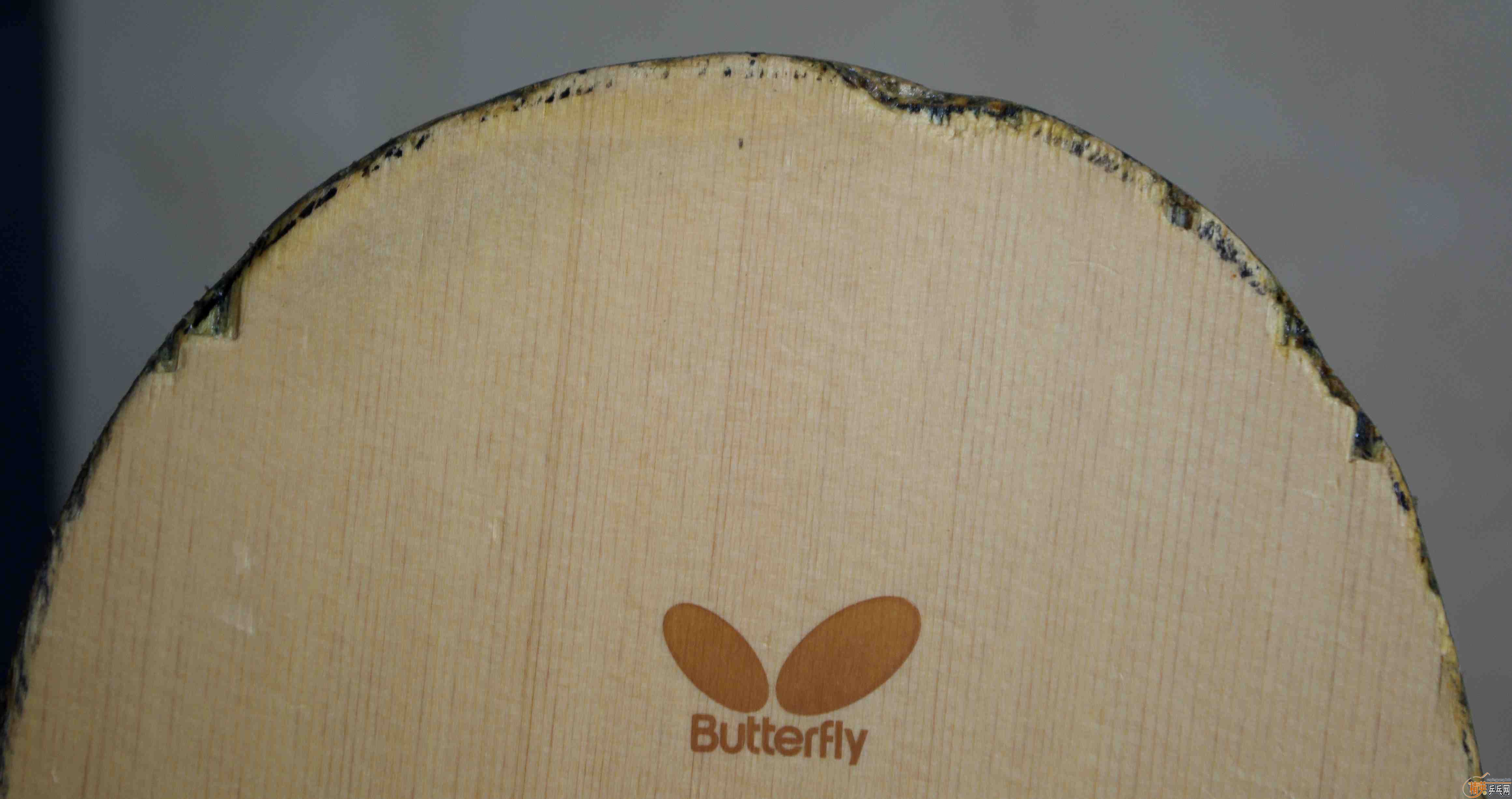 ������ķ����Amultart