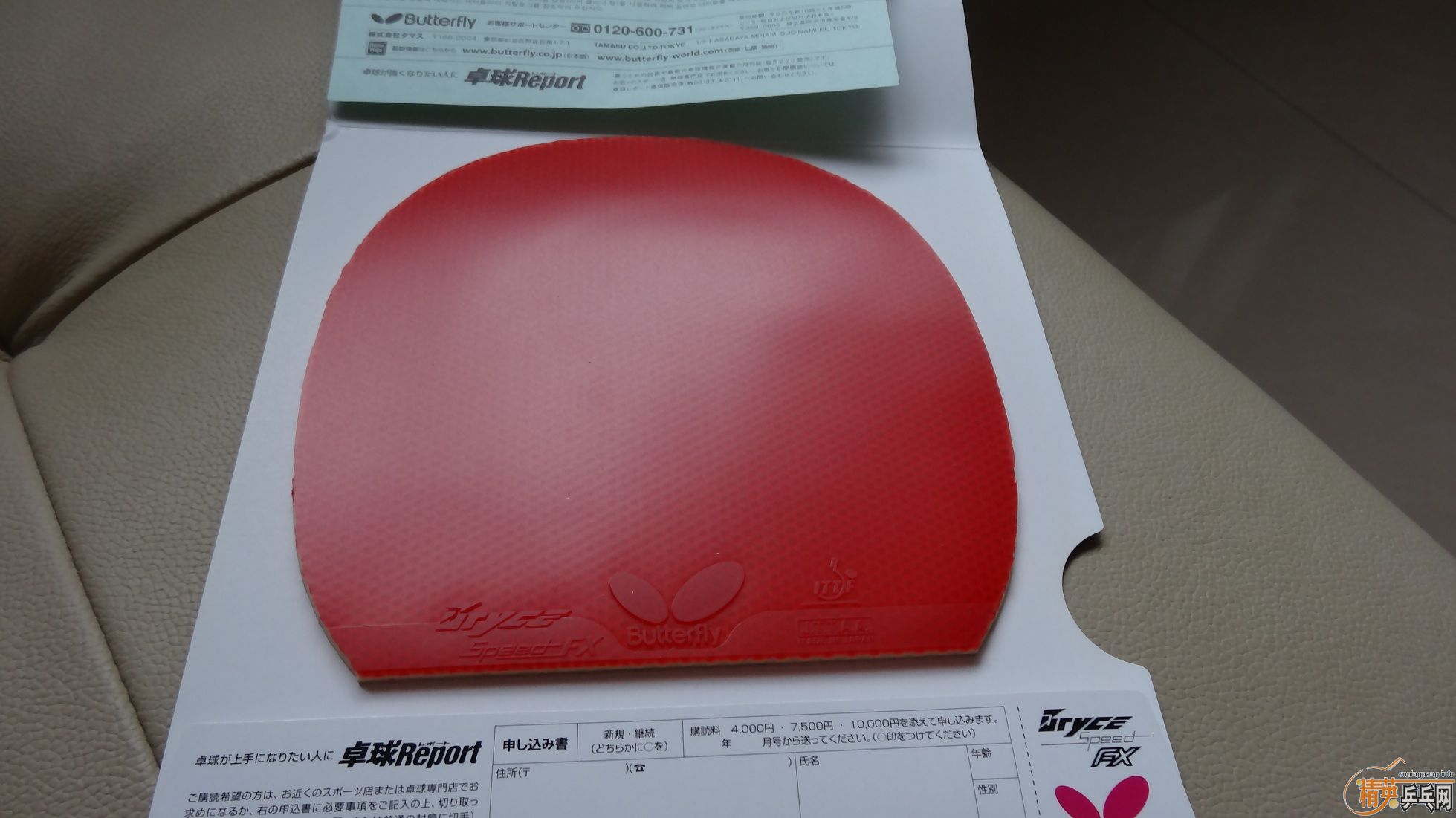 ��ɫ���µĽ�Ƥ����˫ϲ��ʡ���������speed����