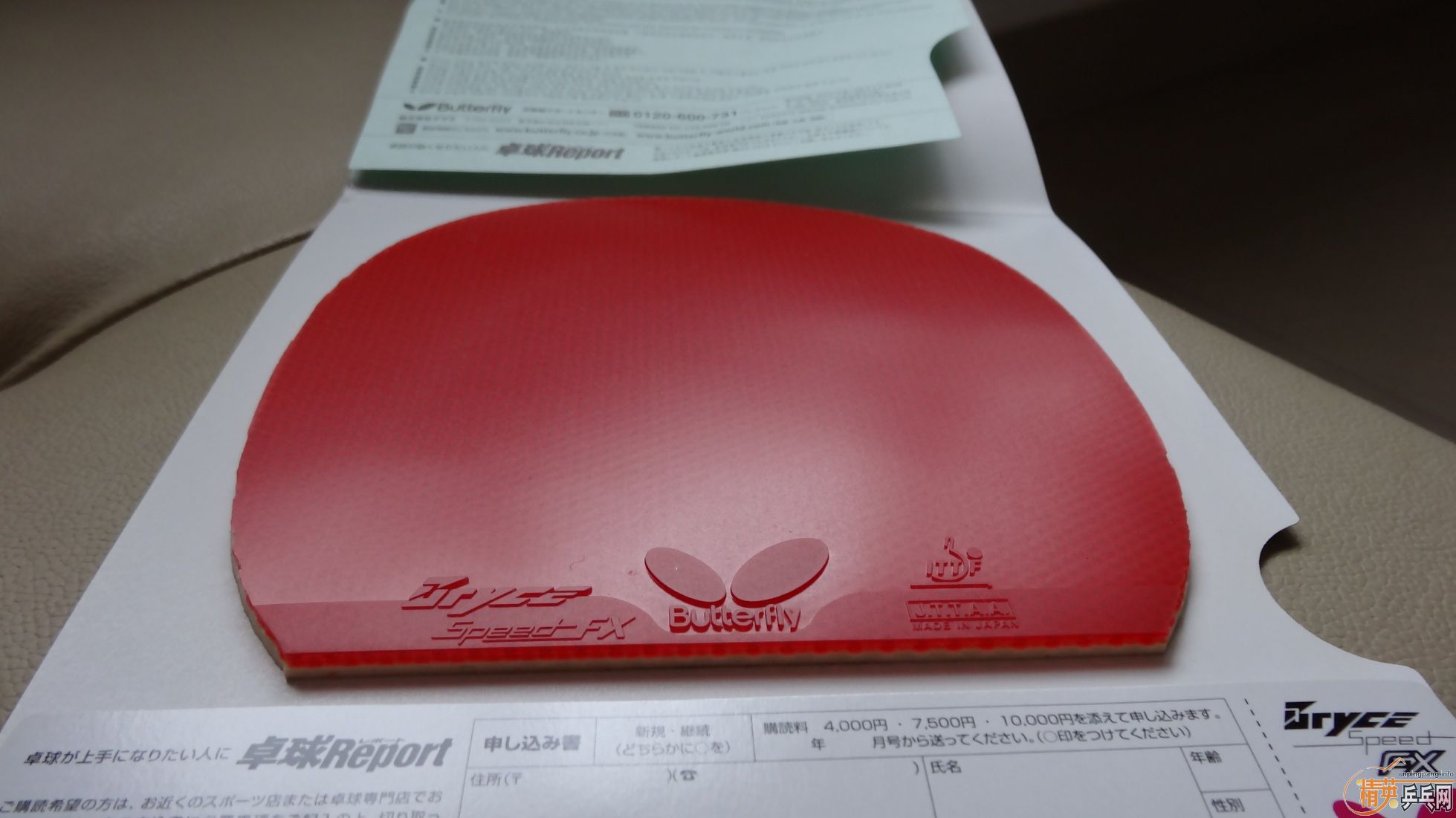 ��ɫ���µĽ�Ƥ����˫ϲ��ʡ���������speed����