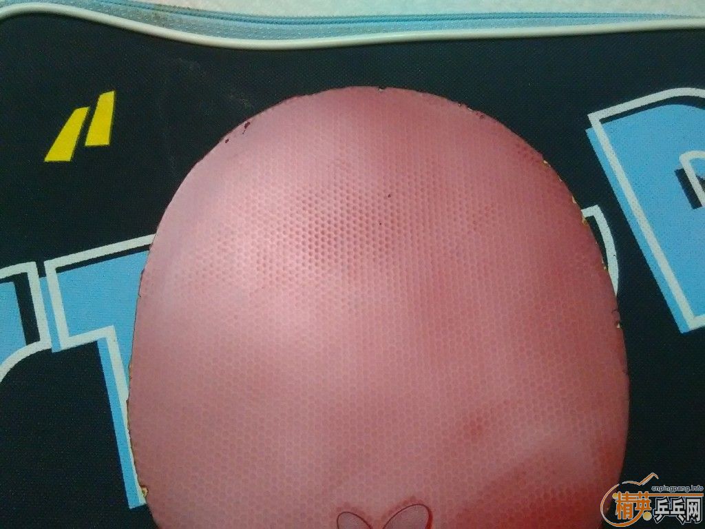 ����ɫ���