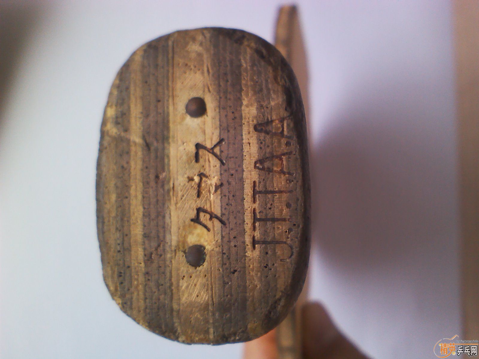 ���������ƿƱ���������