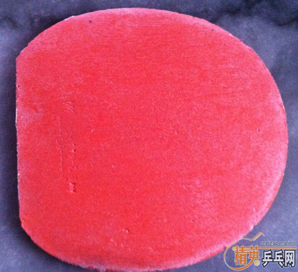 100������ɫT05