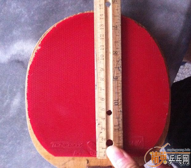 100������ɫT05