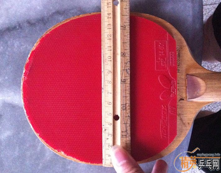 100������ɫT05