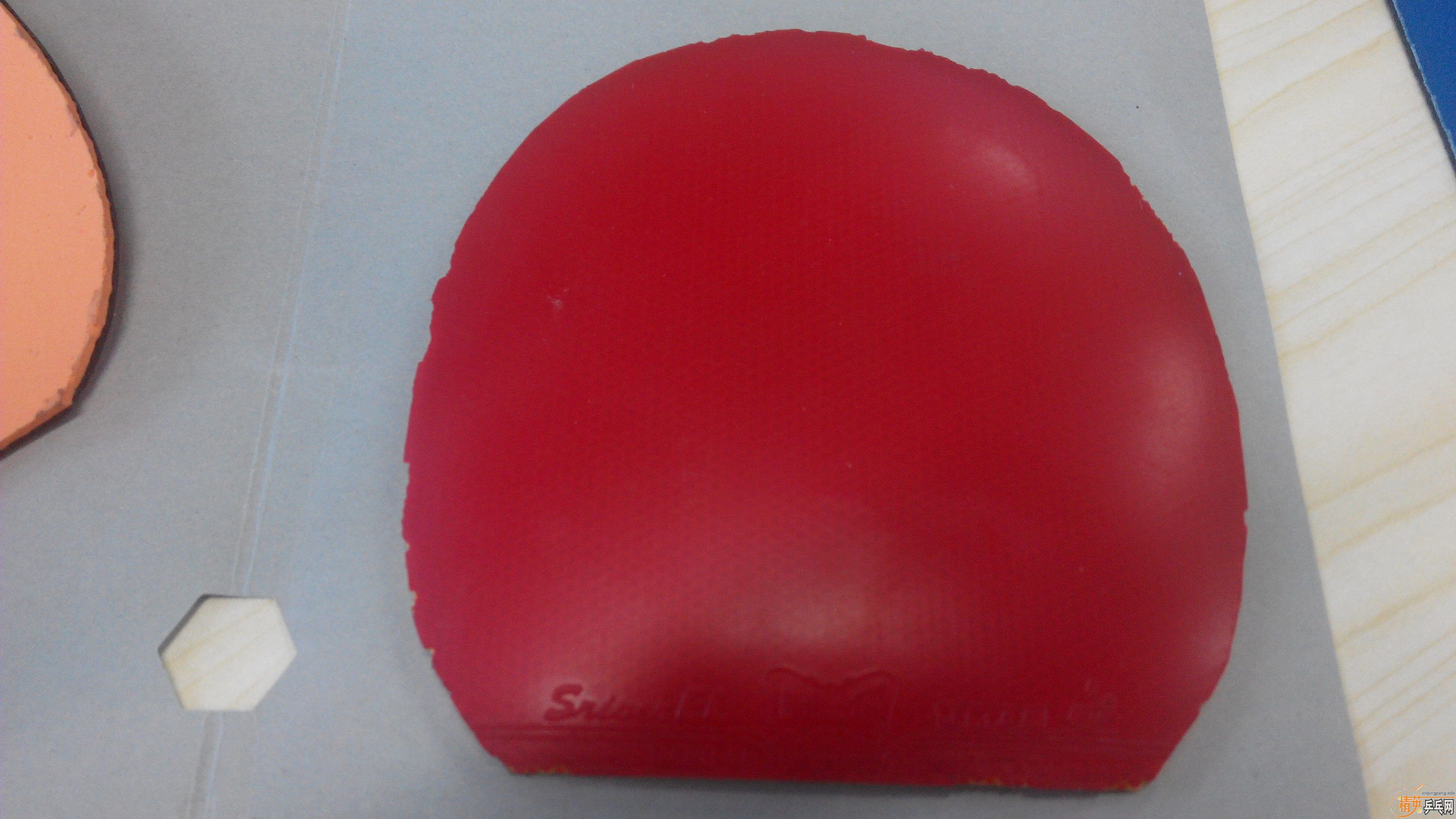 ֱ�巴�ֽ�Ƥ����EL ��ɫ�������Ż���ֻҪ50Ԫ  ��ӭ��ˮ����