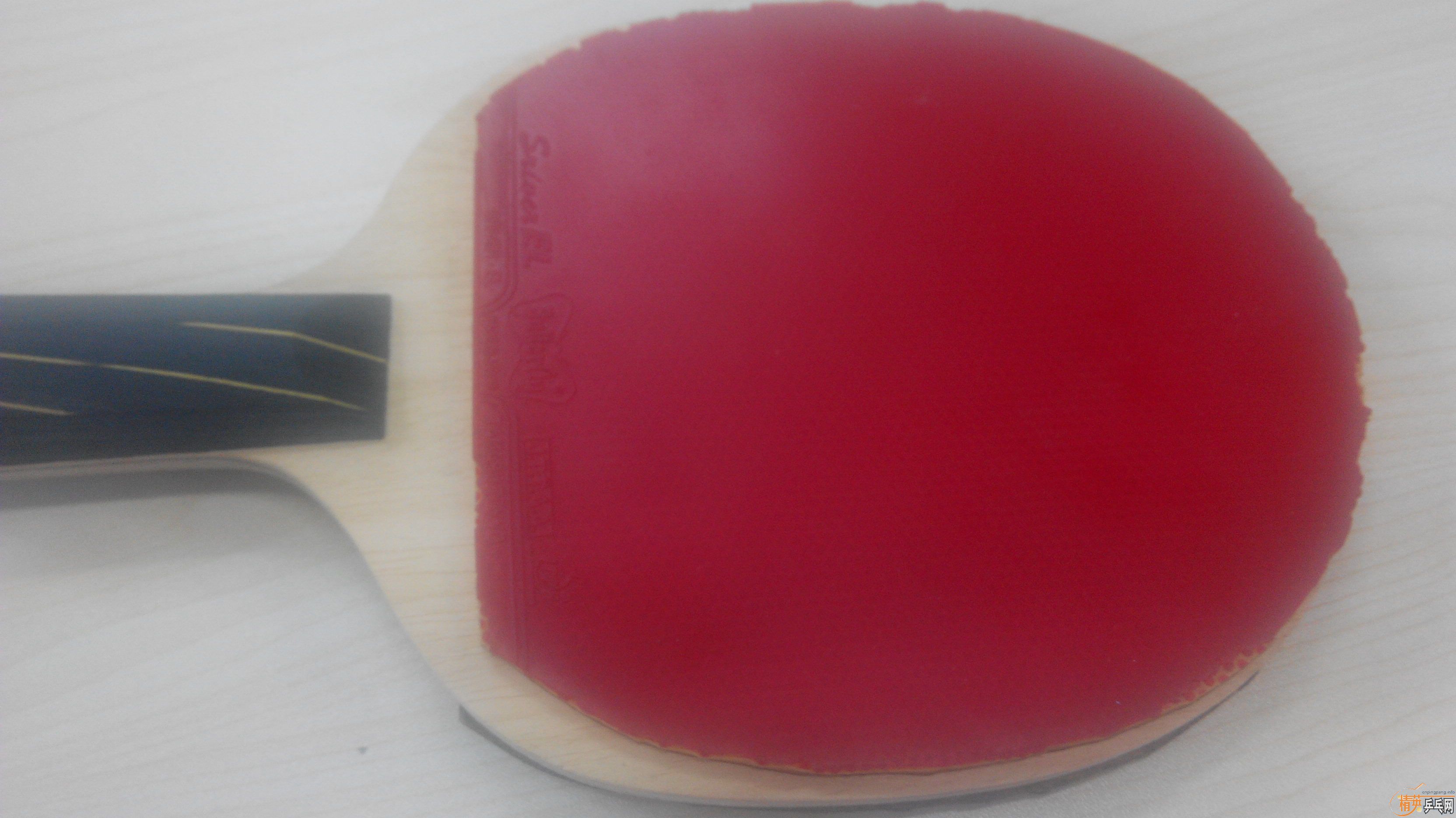 ֱ�巴�ֽ�Ƥ����EL ��ɫ�������Ż���ֻҪ50Ԫ  ��ӭ��ˮ����