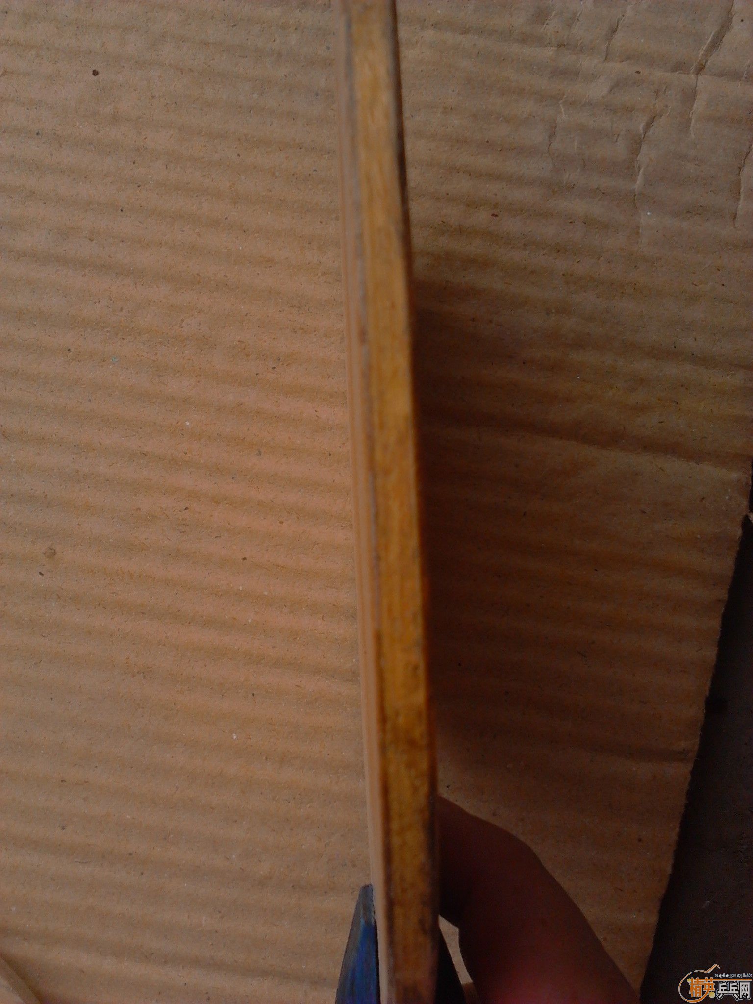 ������9��TX������ֱ�ġ�