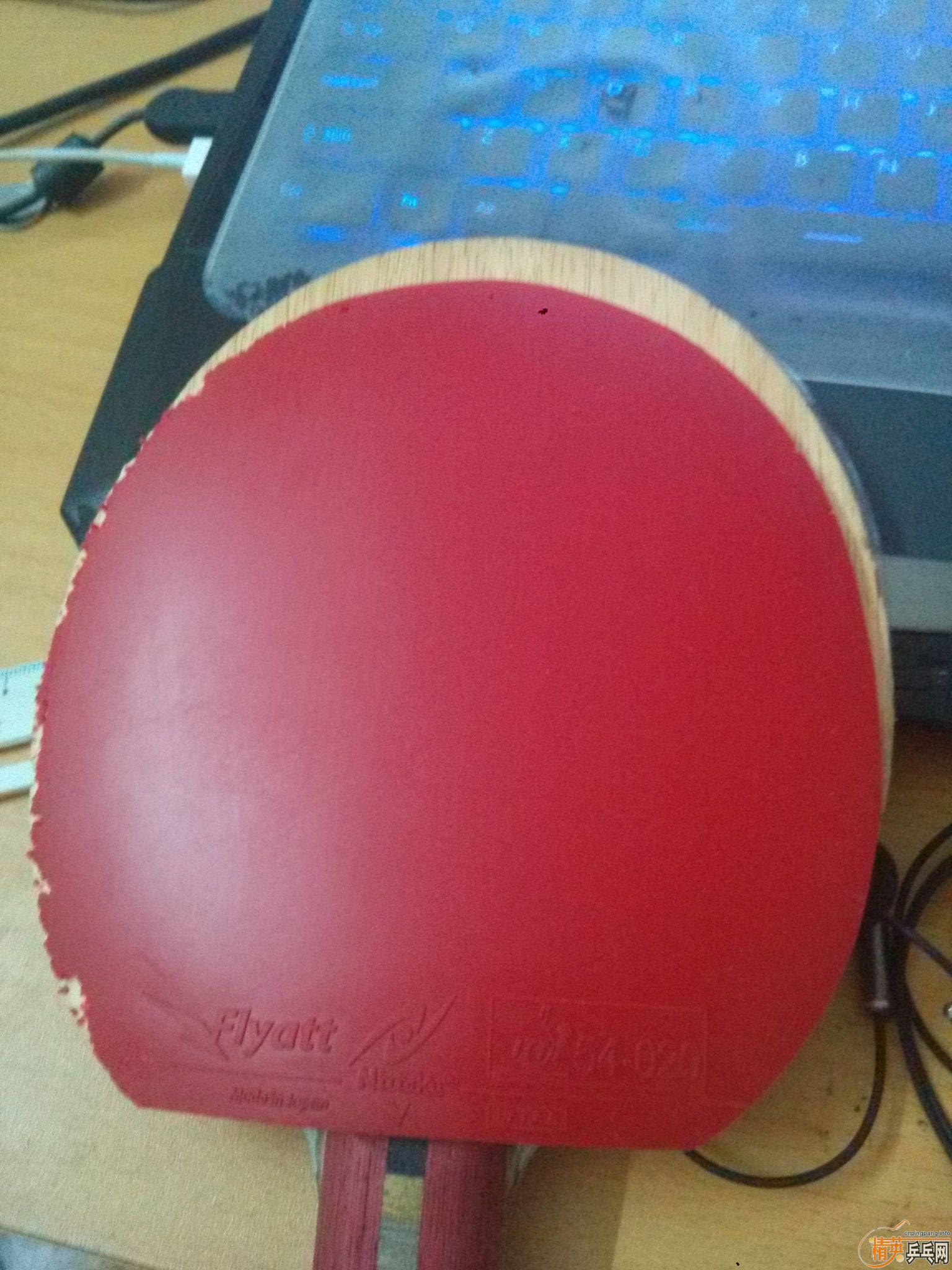 ------=nittaku flyatt ----========nittaku flyatt ============nittaku flyatt