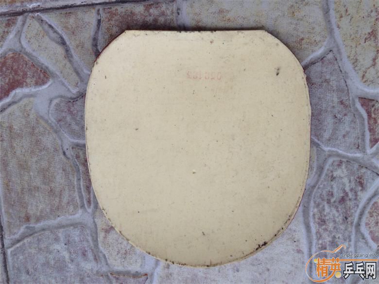 STIGA ����һŵ�� 9���� 80����