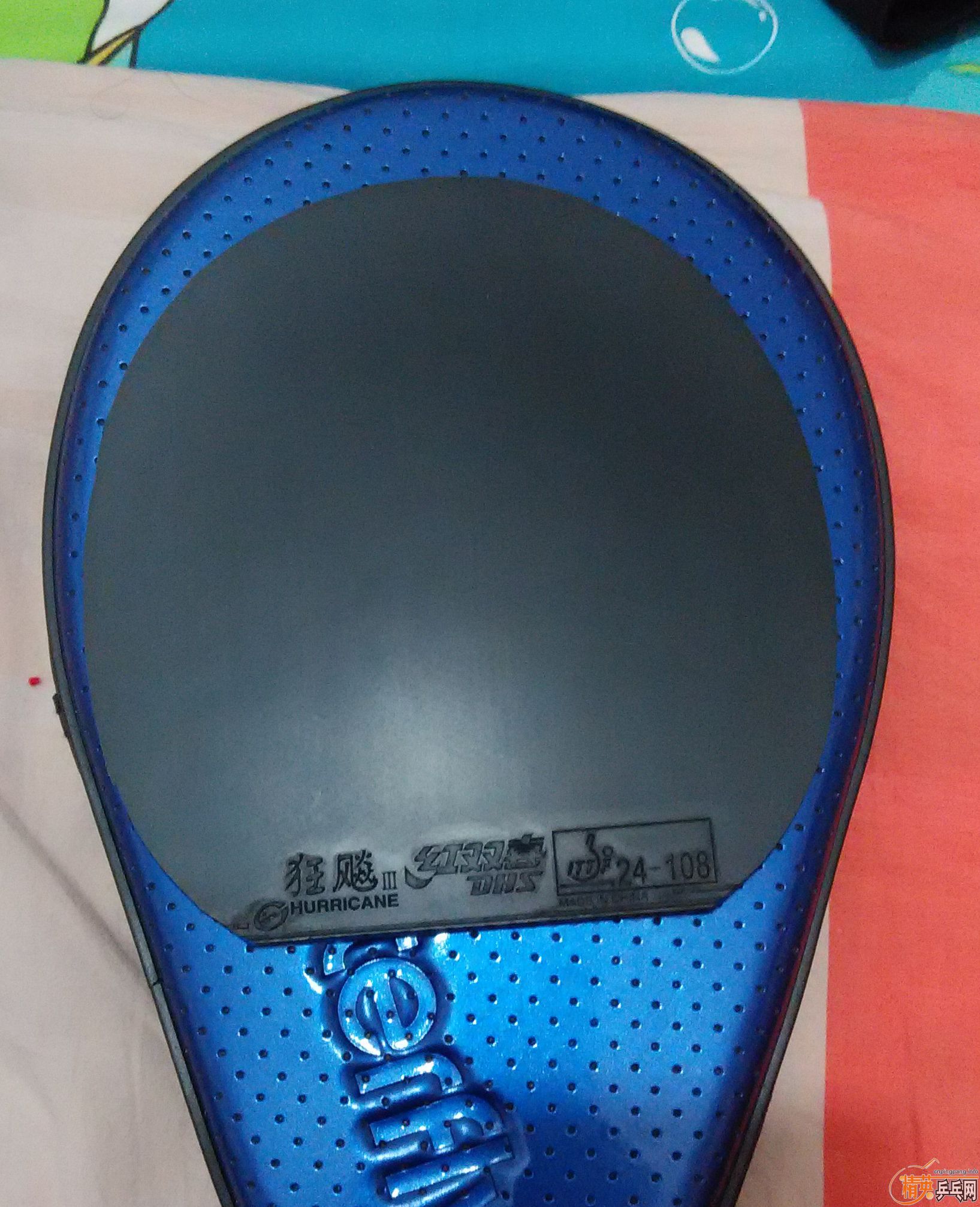 �������������������ε�������ʡ�񡿡�������