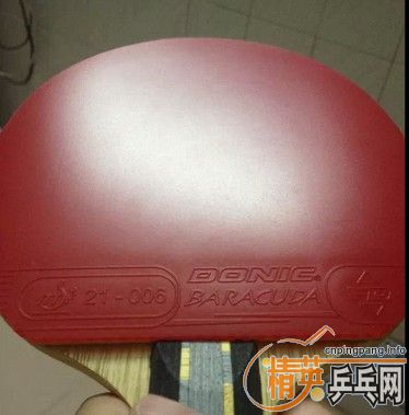 ��ɫbarakuda��95�£�120����ͨ