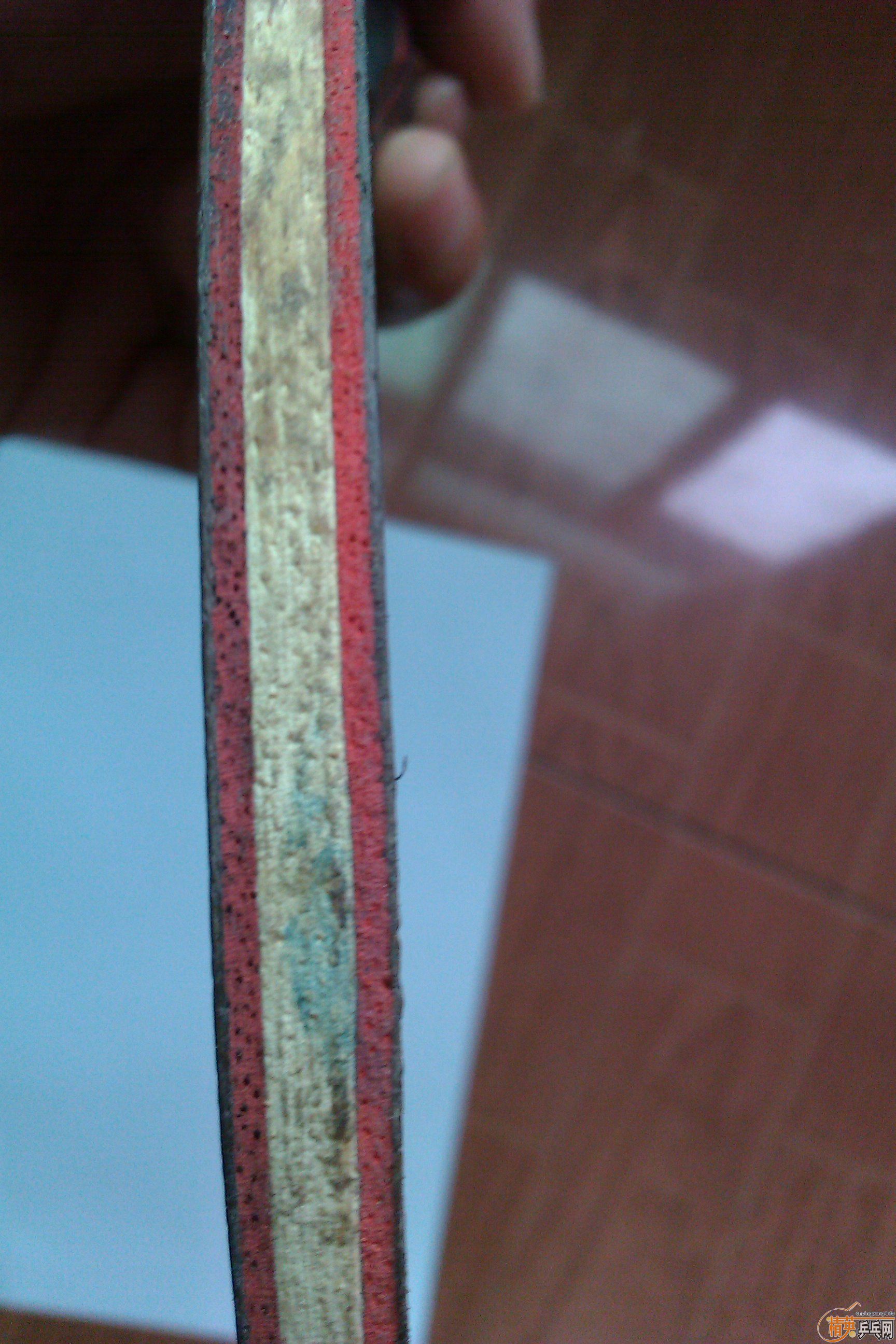 �л������� ���� �뻻����������