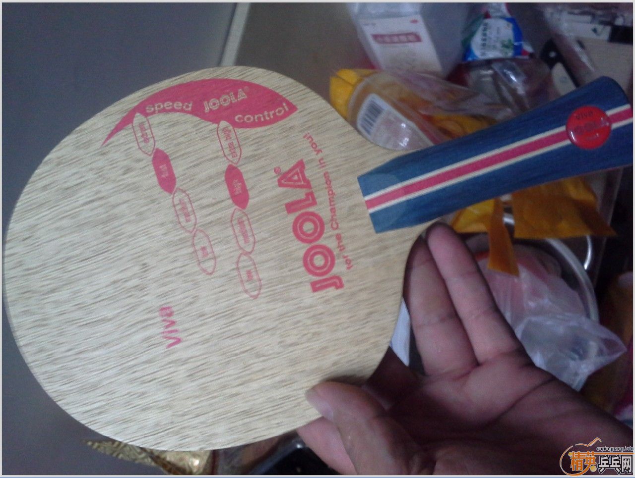 VIVA  ��ľ ���