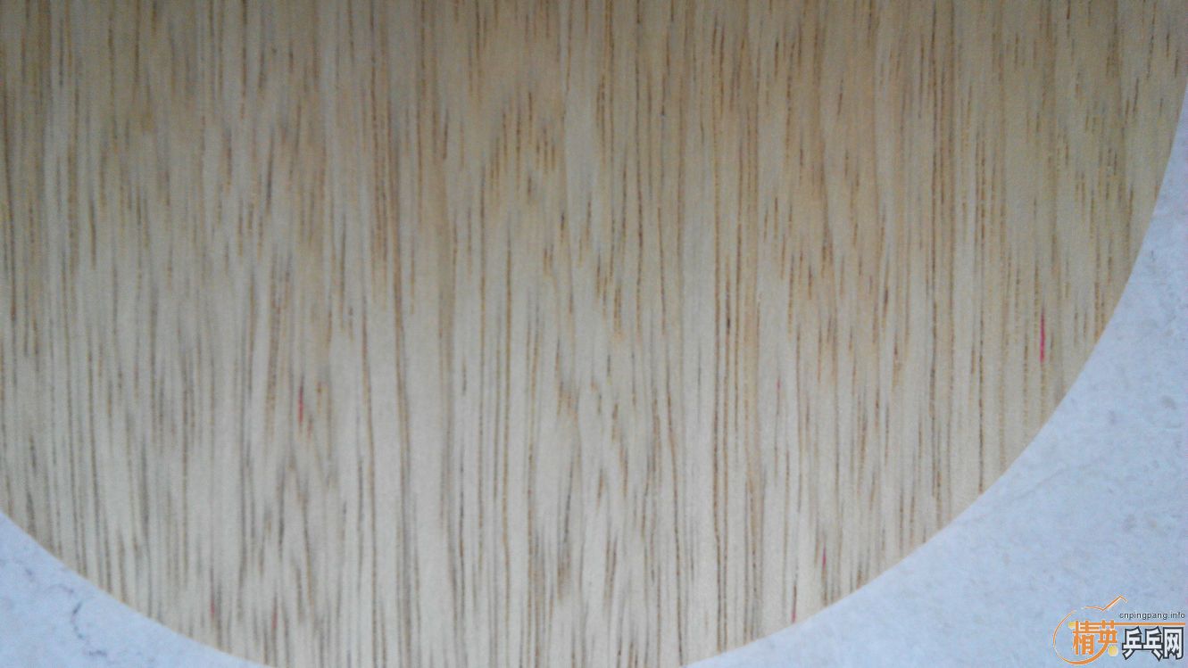 ������3����506��Ӧ���ǲ���������