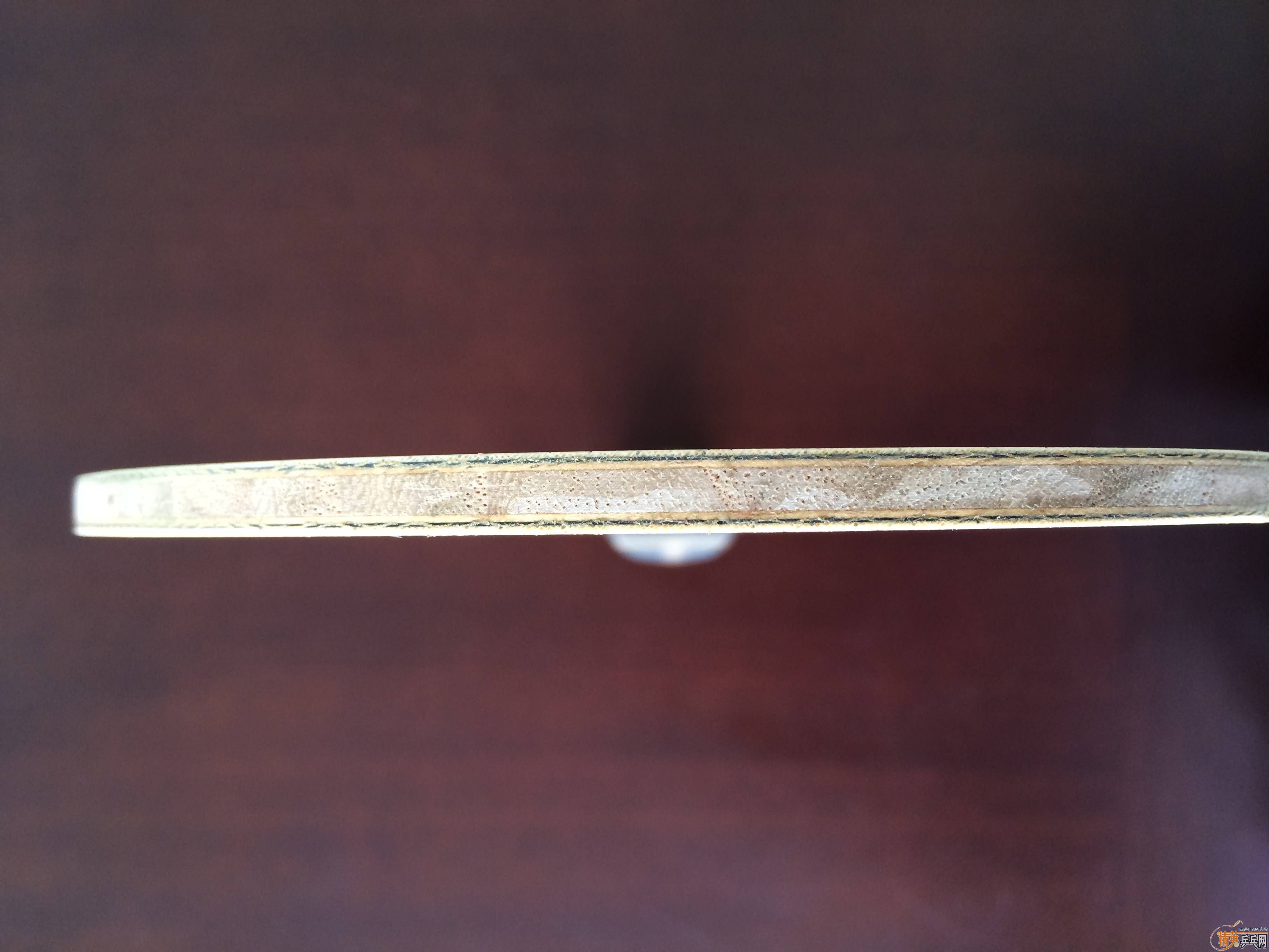 ���ѳ�ֻ�����ε��л��ż̿Ƴ���zlc