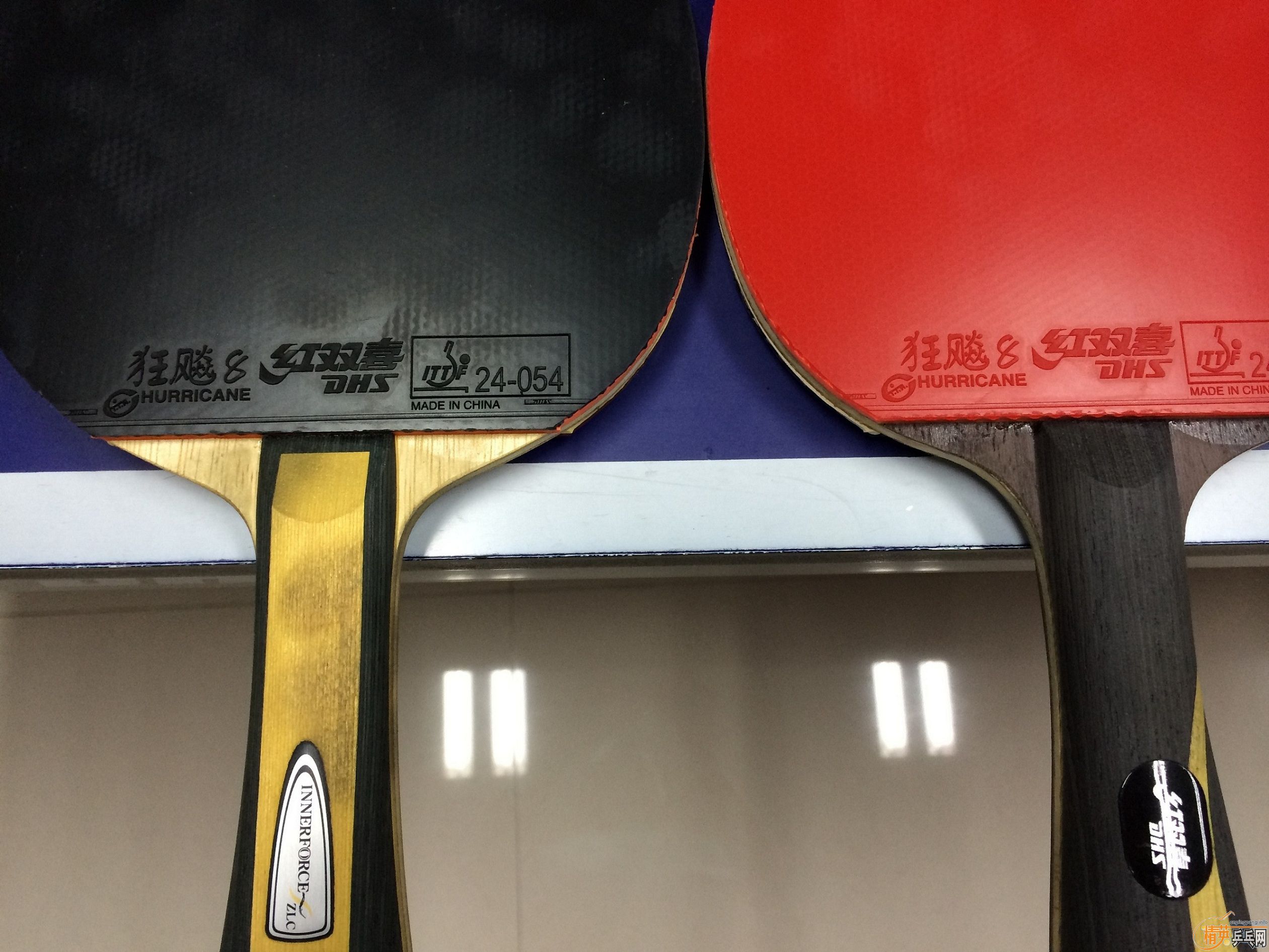 [��ͼ]ɹɹ���ܱ����������ģ�������תͶ��ϵ��