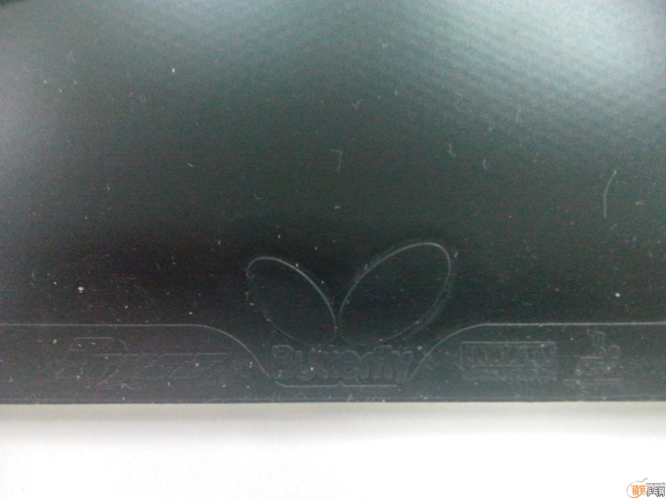 ���ҿ��������٣�лл