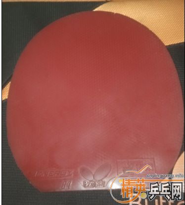 T64ɫͼ100