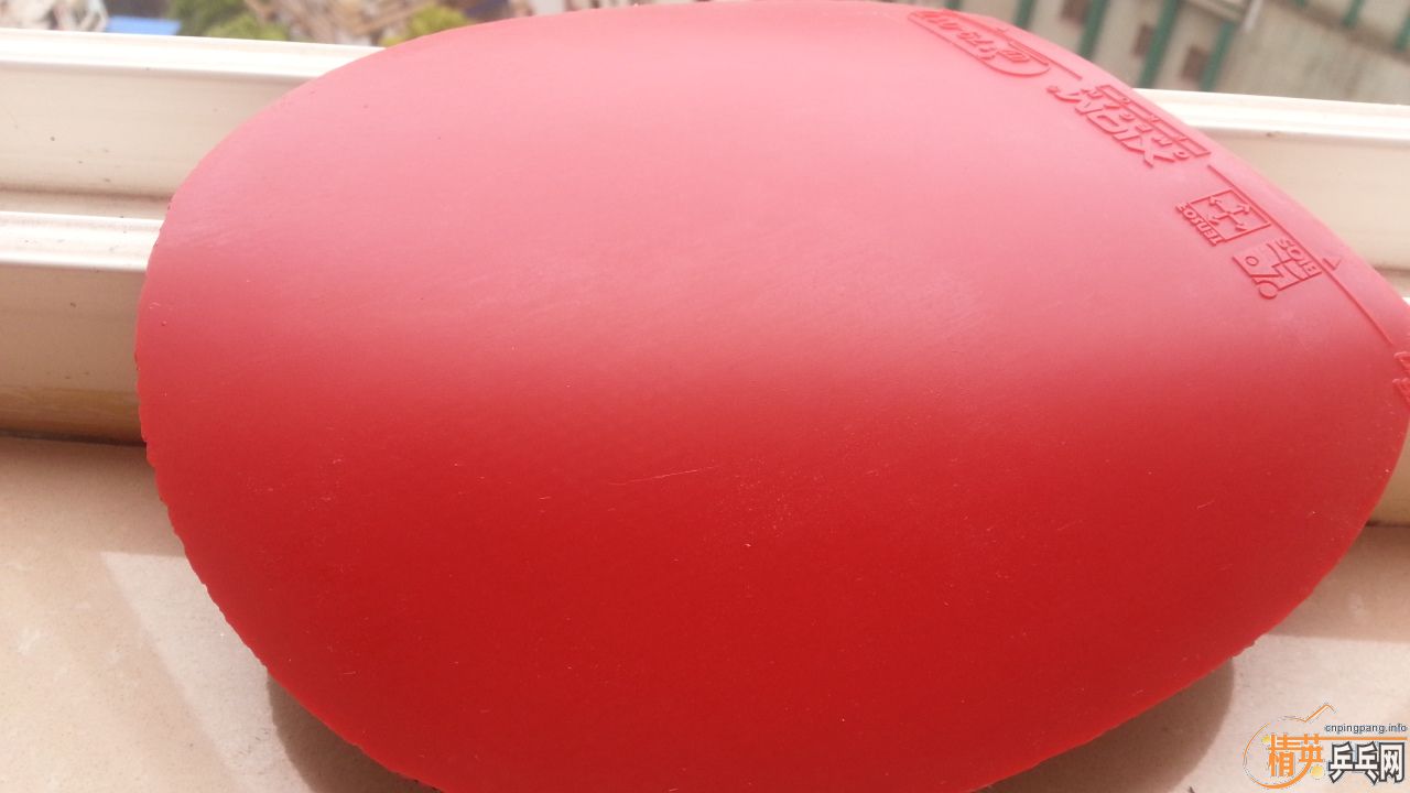 ŷ٤