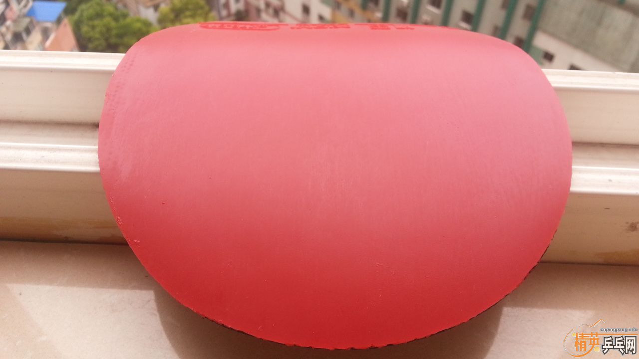ŷ٤