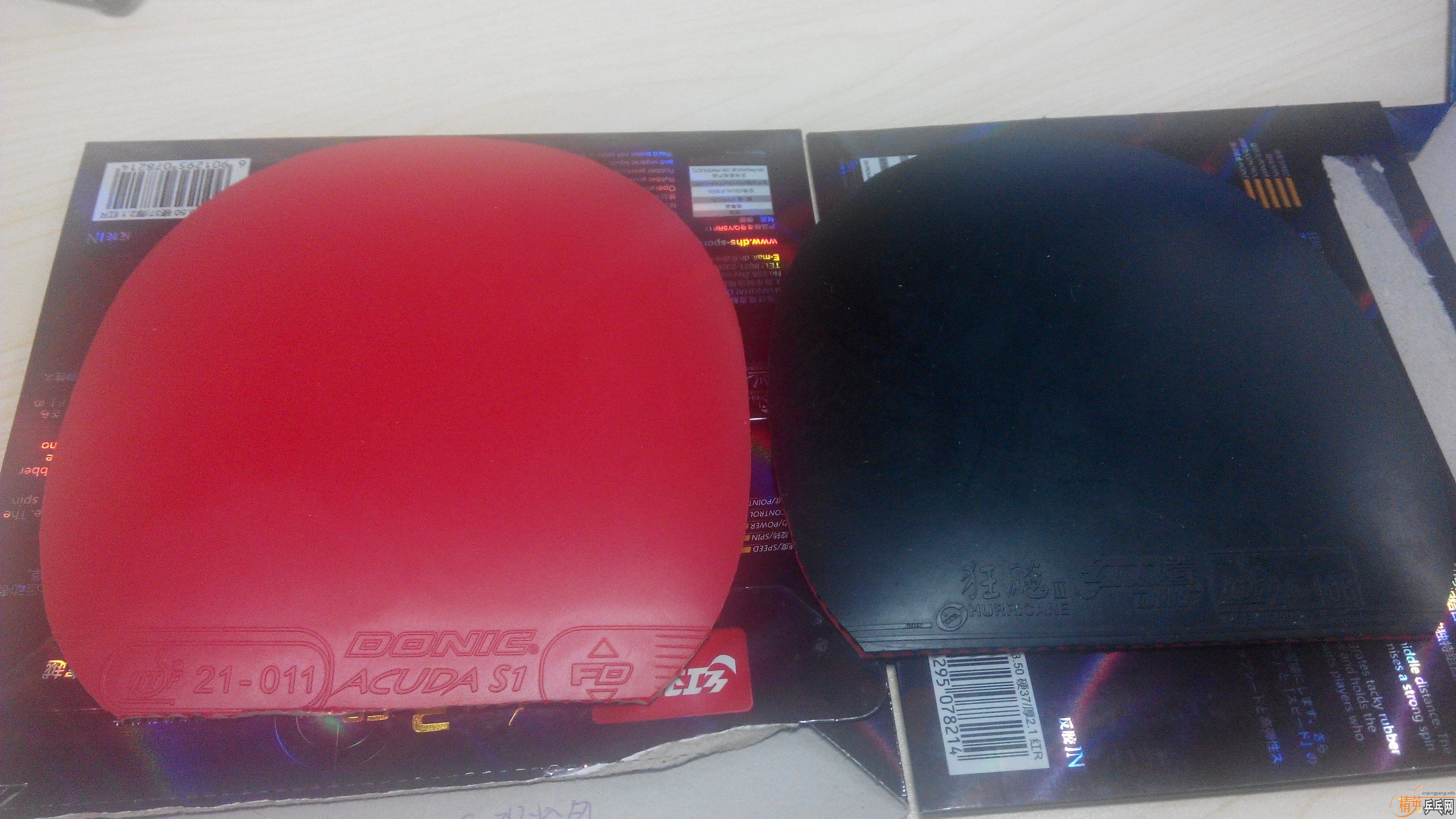 ���3-50  �����S1 ���۴������