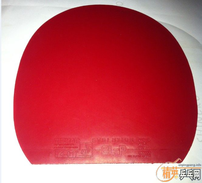 ��ͦ��ELP��ɫ�׽���ֱ����Ľ�