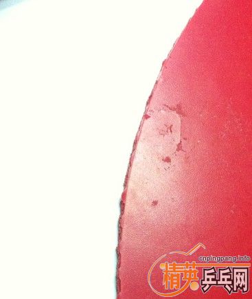 ��ͦ��ELP��ɫ�׽���ֱ����Ľ�