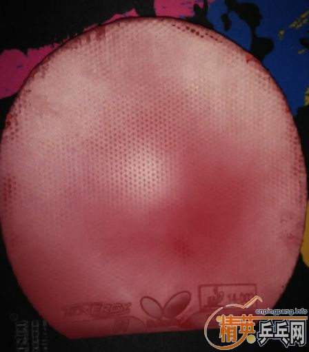 [ԭ��]�������ź�ɫ��ƤT64 2.1��������2.0�������񽺶���