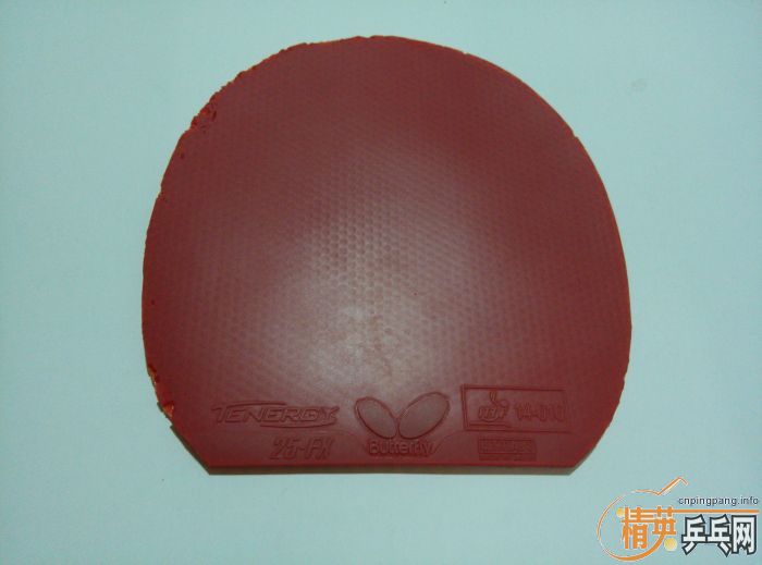 ���������T25FX��