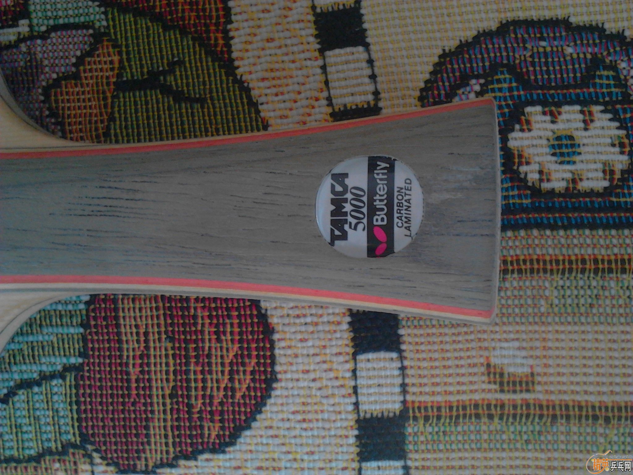 ����˫̼����Ī���ĵװ������������