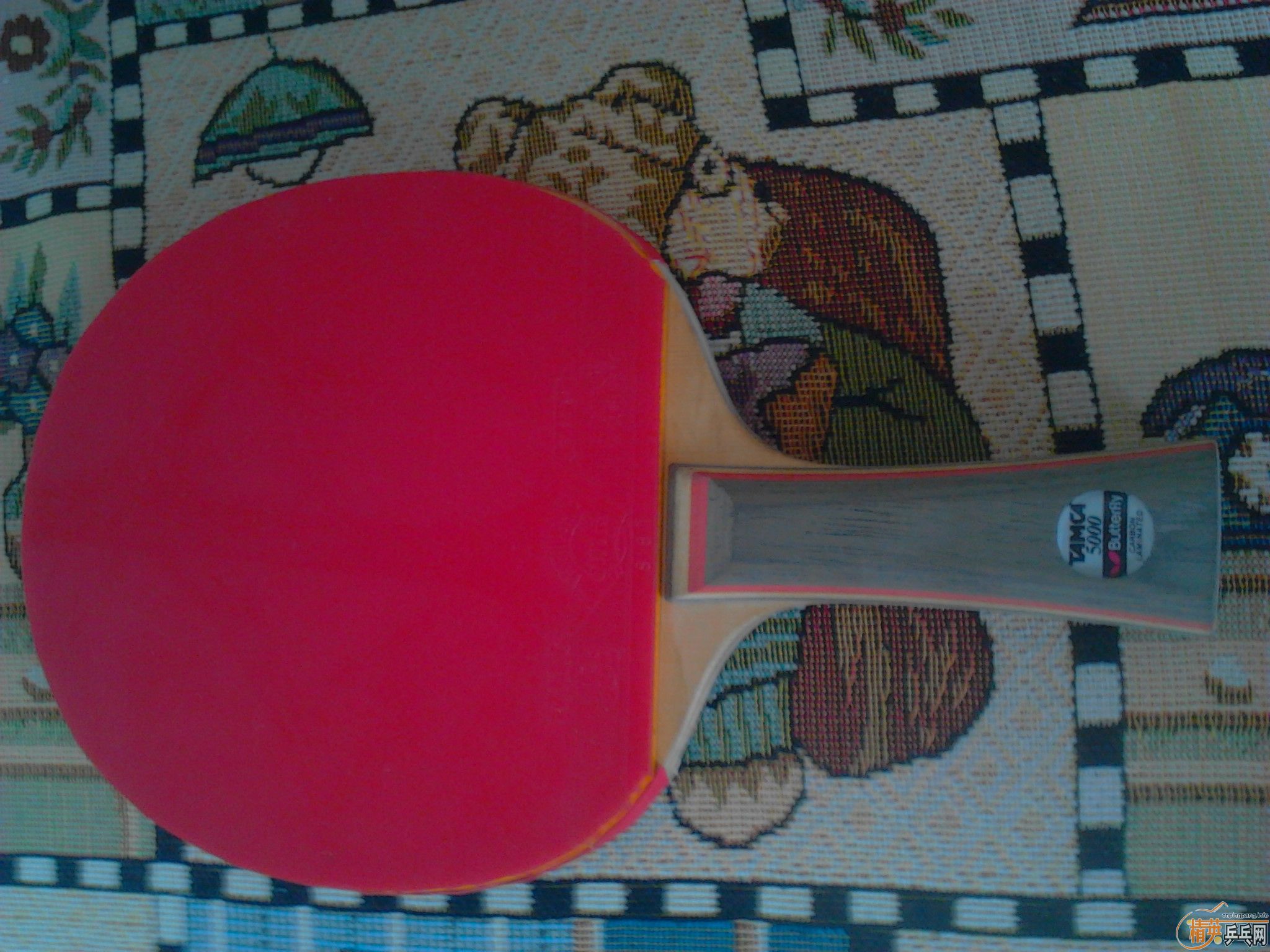 ����˫̼����Ī���ĵװ������������