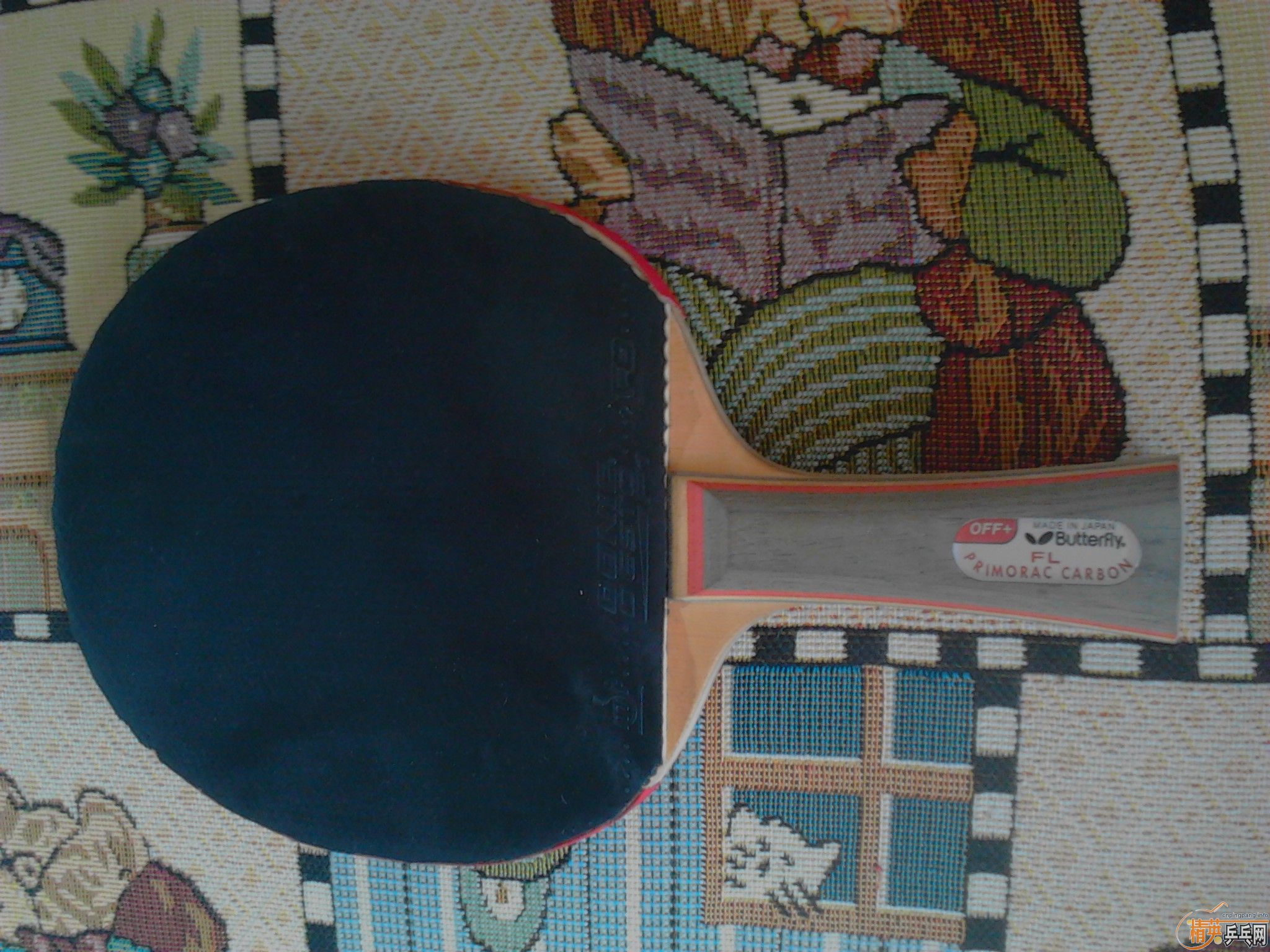 ����˫̼����Ī���ĵװ������������