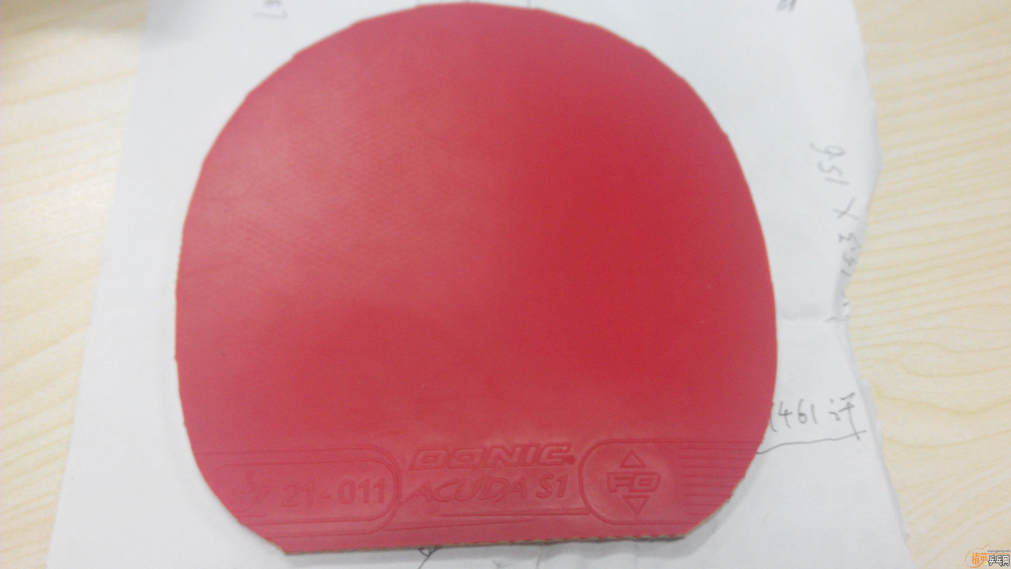 ���µĴ��������S1 ��ӭѡ���������������½�Ƥ