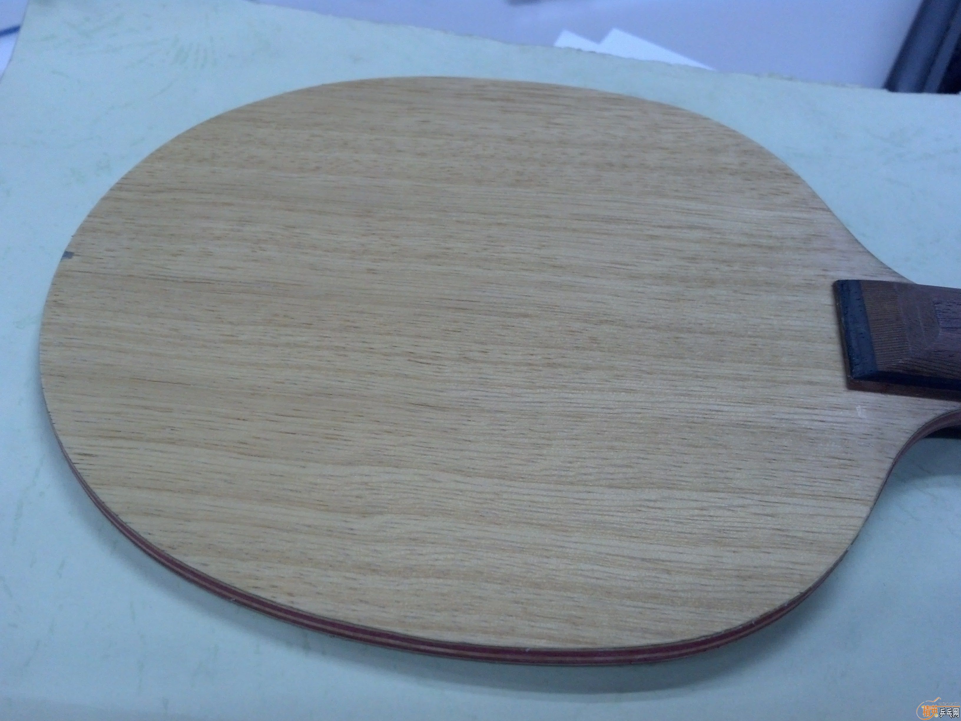 ST������87g����ɫ�Զ��壬560���ʡ�